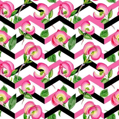 Kır çiçeği cornos Florida çiçek deseni suluboya tarzında.