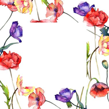 Kır çiçeği haşhaş çiçek çerçeve suluboya tarzında.