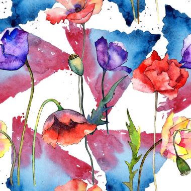 Kır çiçeği haşhaş çiçek deseni suluboya tarzında.