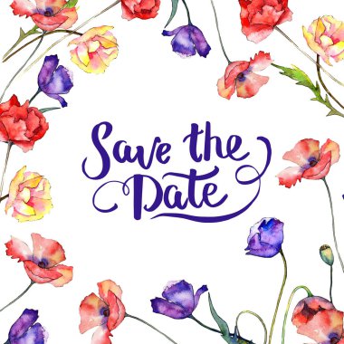 Kır çiçeği haşhaş çiçek çerçeve suluboya tarzında.