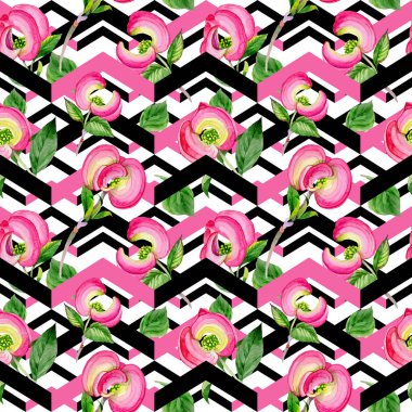 Kır çiçeği cornos Florida çiçek deseni suluboya tarzında.