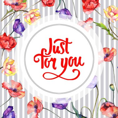 Kır çiçeği haşhaş çiçek çerçeve suluboya tarzında.