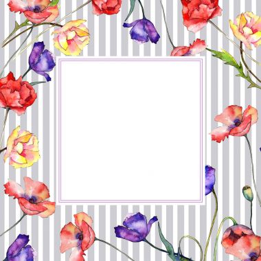 Kır çiçeği haşhaş çiçek çerçeve suluboya tarzında.