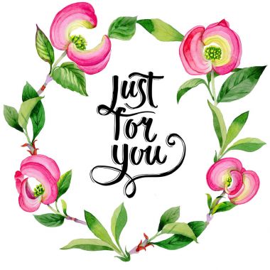 Kır çiçeği cornos Florida çiçek çelenk suluboya tarzında.