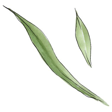 Kır çiçeği orkide çiçek izole bir suluboya tarzında.