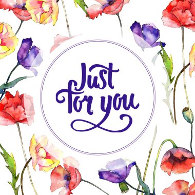 Kır çiçeği haşhaş çiçek çerçeve suluboya tarzında.