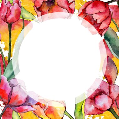 Kır çiçeği Lale çiçek çerçeve suluboya tarzında.