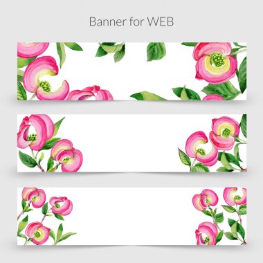 Kır çiçeği cornos Florida çiçek çerçeve suluboya tarzında.