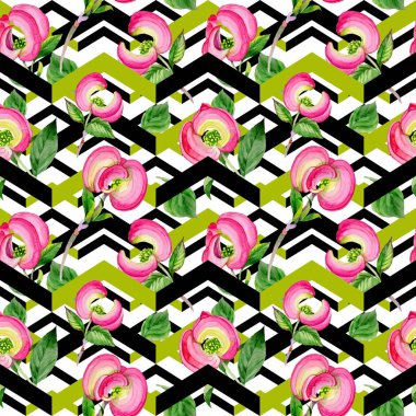 Kır çiçeği cornos Florida çiçek deseni suluboya tarzında.