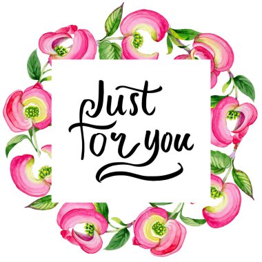 Kır çiçeği cornos Florida çiçek çerçeve suluboya tarzında.