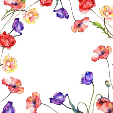 Kır çiçeği haşhaş çiçek çerçeve suluboya tarzında.