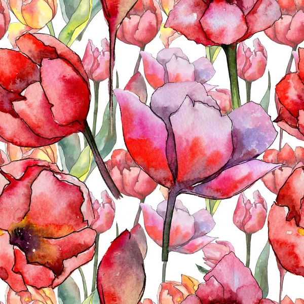 Modello di fiore di tulipano Wildflower in stile acquerello . — Foto Stock