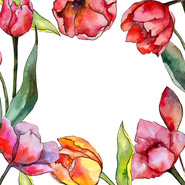 Cadre de fleurs de tulipes de fleurs sauvages dans un style aquarelle . — Photo