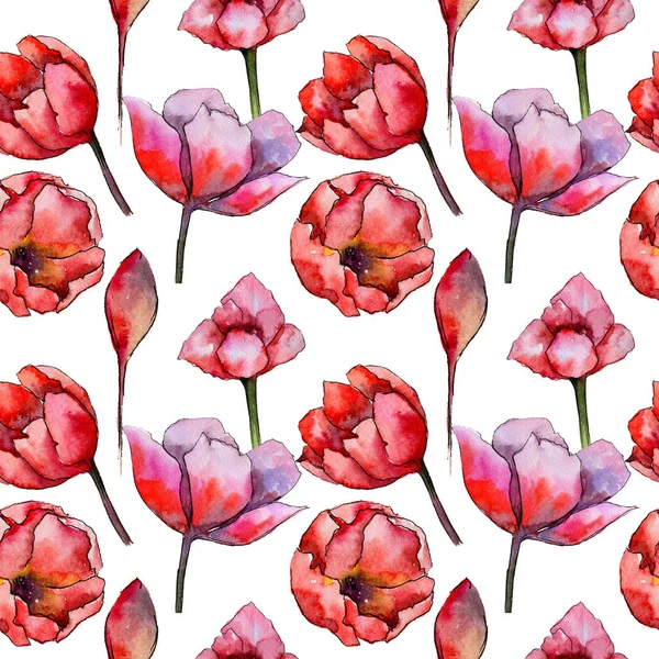 Дикий квітковий тюльпан в акварельному стилі . — стокове фото