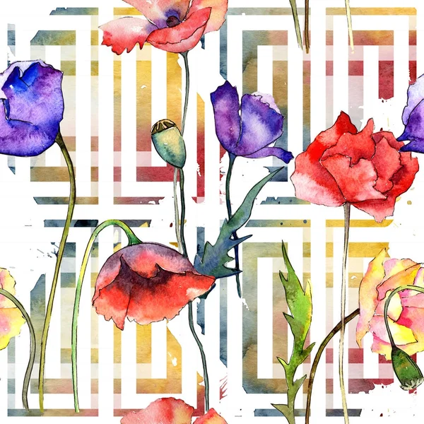 Wildflower poppy flower pattern in a watercolor style. — Stock Photo, Image