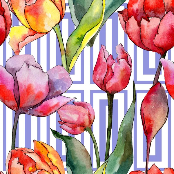 Modèle de fleur de tulipe de fleur sauvage dans un style aquarelle . — Photo