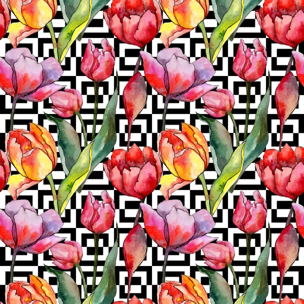 Modèle de fleur de tulipe de fleur sauvage dans un style aquarelle . — Photo