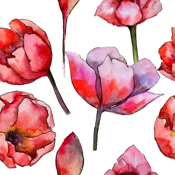 Modello di fiore di tulipano Wildflower in stile acquerello . — Foto Stock