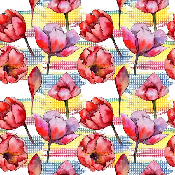 Modèle de fleur de tulipe de fleur sauvage dans un style aquarelle . — Photo