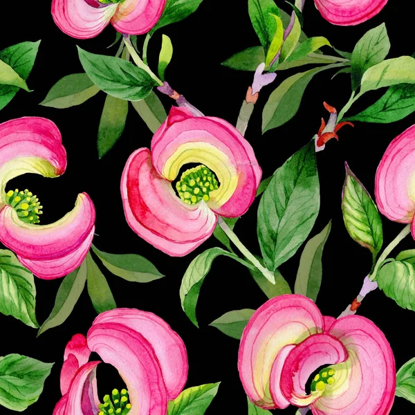 Wildflower cornos Флорида Квіткова картина в стилі аквареллю. — стокове фото