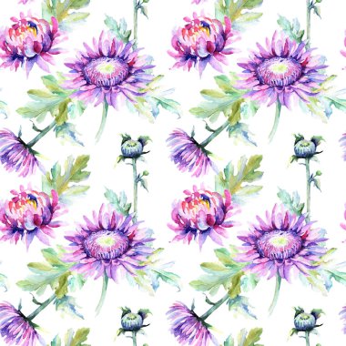 Kır çiçeği krizantem çiçek deseni suluboya tarzında.