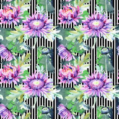 Kır çiçeği krizantem çiçek deseni suluboya tarzında.