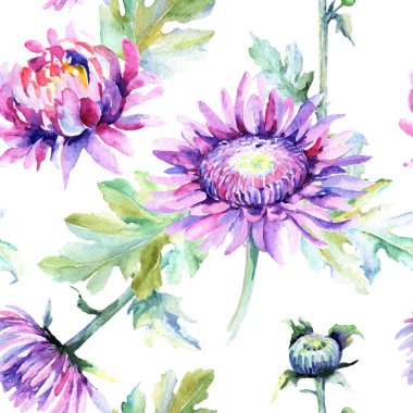 Kır çiçeği krizantem çiçek deseni suluboya tarzında.