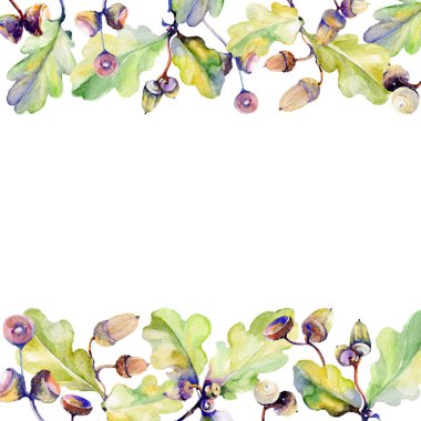 Orman meşe palamudu çerçeve bir el suluboya tarzı çizilmiş.