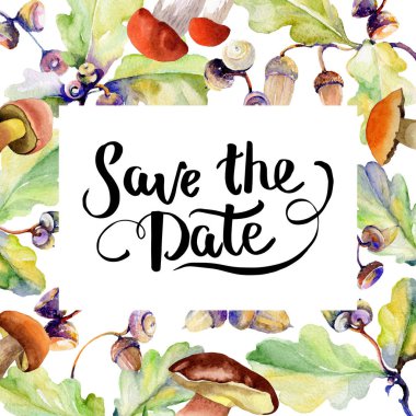 Orman meşe palamudu çerçeve bir el suluboya tarzı çizilmiş.