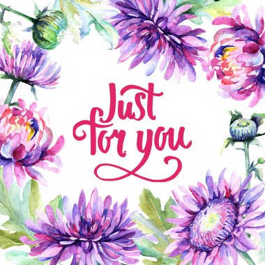 Kır çiçeği Kasımpatı çiçeği çerçeve suluboya tarzında.