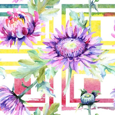 Kır çiçeği krizantem çiçek deseni suluboya tarzında.