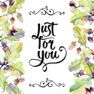 Orman meşe palamudu çerçeve bir el suluboya tarzı çizilmiş.