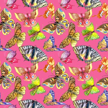 Egzotik kelebek vahşi böcek desen suluboya tarzında.