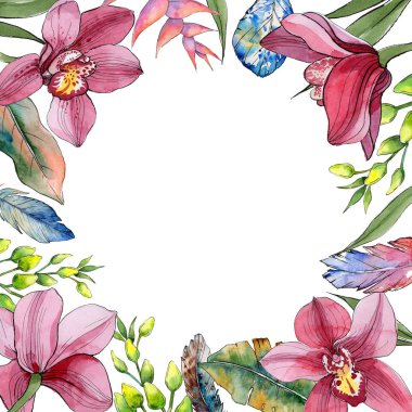 Kır çiçeği orkide çiçek çerçeve suluboya tarzında.