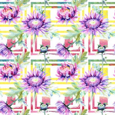 Kır çiçeği krizantem çiçek deseni suluboya tarzında.