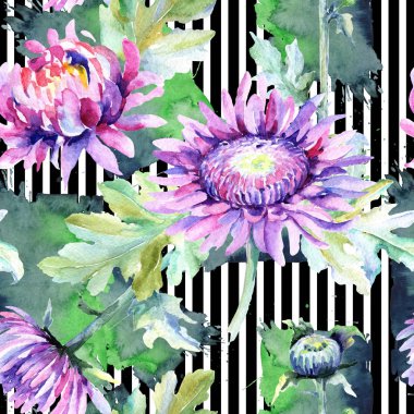 Kır çiçeği krizantem çiçek deseni suluboya tarzında.