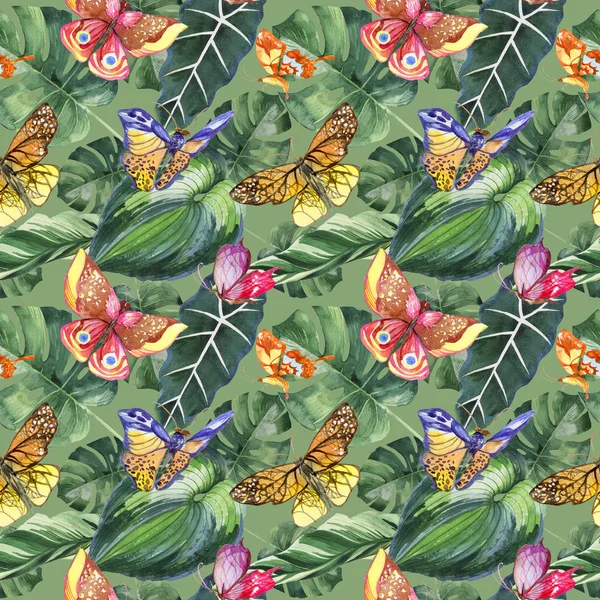 Patrón de insectos salvajes mariposa exótica en un estilo de acuarela . — Foto de Stock