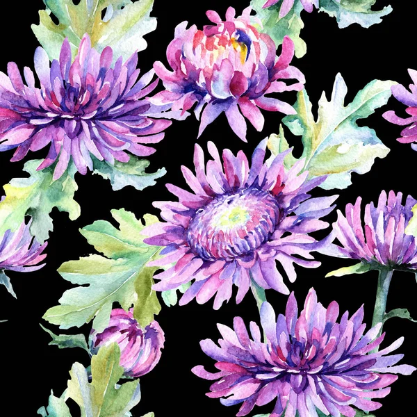 Modello di fiore di crisantemo Wildflower in stile acquerello . — Foto Stock