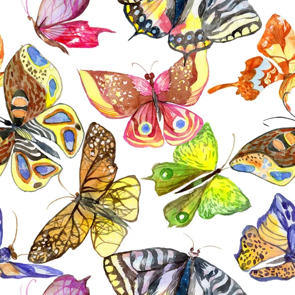 Viltmønster for eksotiske sommerfugler i akvarellfarge . – stockfoto