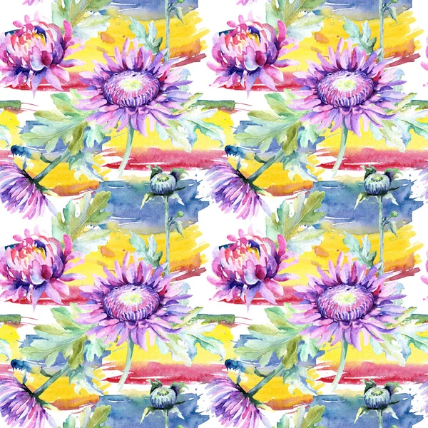 Wildflower chrysanthemum flower pattern in a watercolor style. — Stock Photo, Image