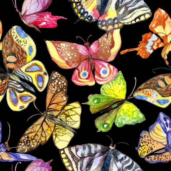 Egzotikus pillangó vadon élő rovarok minta akvarell stílusú. — Stock Fotó