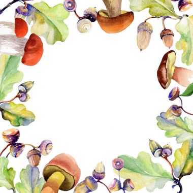 Orman meşe palamudu çerçeve bir el suluboya tarzı çizilmiş.