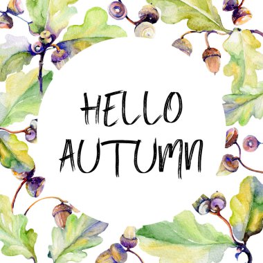 Orman meşe palamudu çerçeve bir el suluboya tarzı çizilmiş.