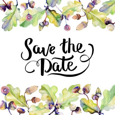 Orman meşe palamudu çerçeve bir el suluboya tarzı çizilmiş.