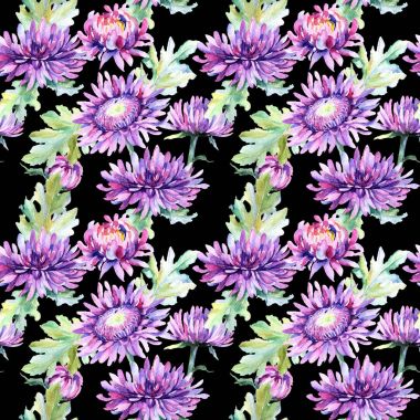 Kır çiçeği krizantem çiçek deseni suluboya tarzında.