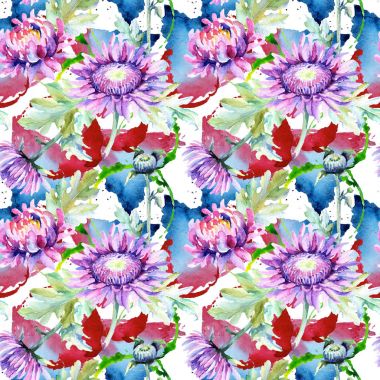 Kır çiçeği krizantem çiçek deseni suluboya tarzında.