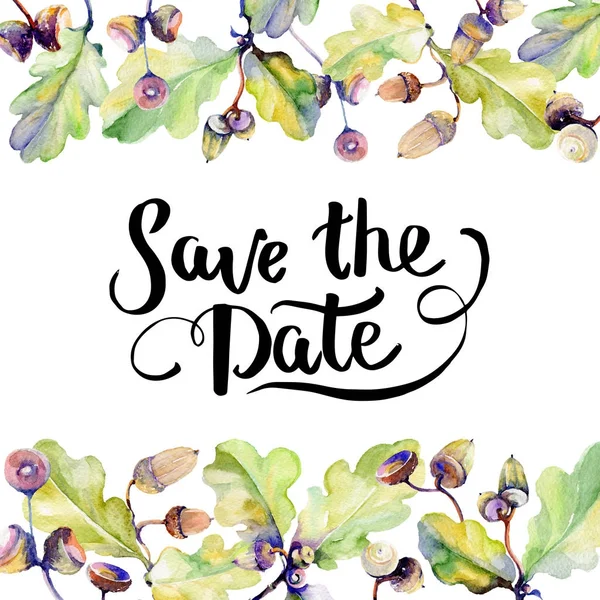 Orman meşe palamudu çerçeve bir el suluboya tarzı çizilmiş.