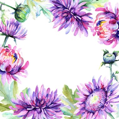 Kır çiçeği Kasımpatı çiçeği çerçeve suluboya tarzında.