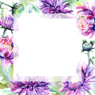 Kır çiçeği Kasımpatı çiçeği çerçeve suluboya tarzında.