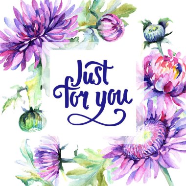 Kır çiçeği Kasımpatı çiçeği çerçeve suluboya tarzında.